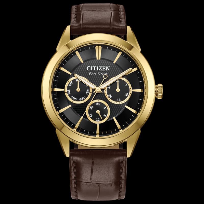 Citizen Rolan Chronograph